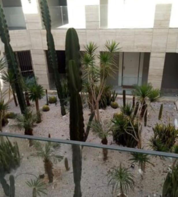 Appartement De Luxe En Face A La Essaouira